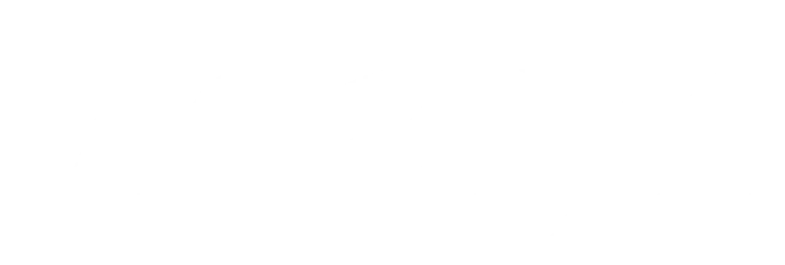 Vidalyn-Logo
